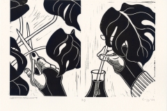 Renew, Elizabeth Kellogg
