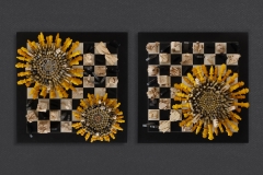 43Gregory-Stacey_1warflowers