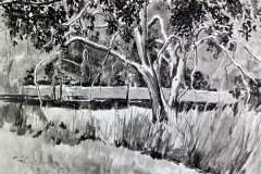 91Pargament-Diane_2tree