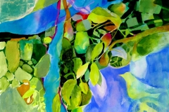 Naturescape, Patricia Abraham