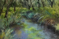 Linda Creek, Jan Y. Miller